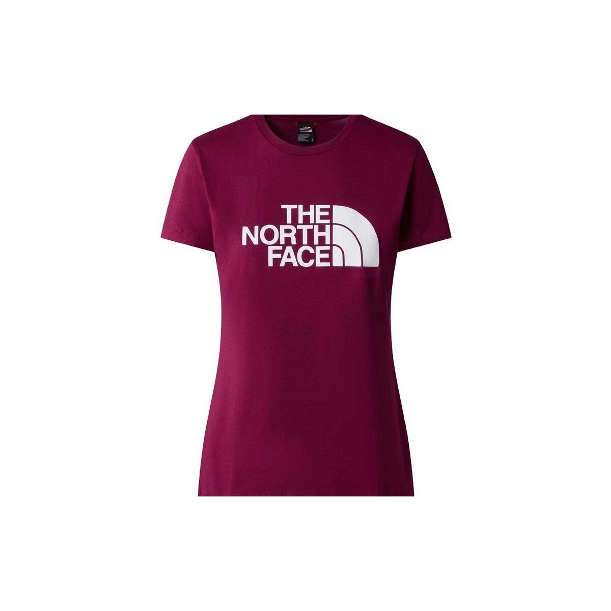 T-shirts & Polos The North Face EASY TEE W