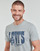 Υφασμάτινα Άνδρας T-shirt με κοντά μανίκια Levi's GRAPHIC CREWNECK TEE Grey