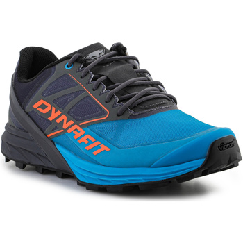 Παπούτσια Άνδρας Τρέξιμο Dynafit Alpine 64064-0752 Magnet/Frost Multicolour