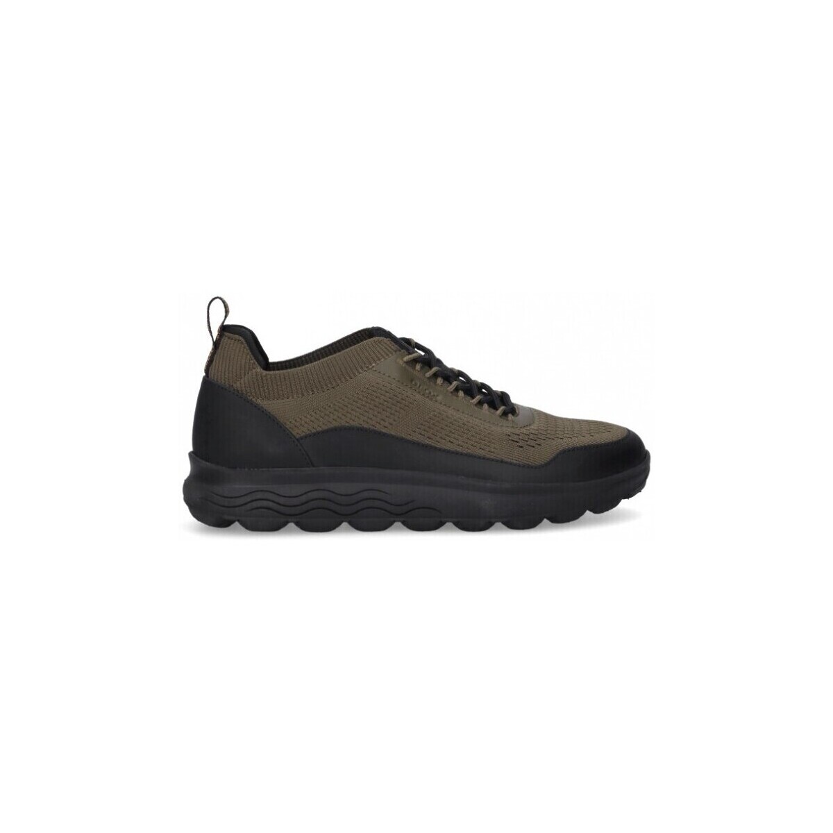 Παπούτσια Άνδρας Sneakers Geox 70618 Green