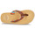 Παπούτσια Γυναίκα Σαγιονάρες Cool shoe ARIA Brown / Multicolour