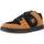 Παπούτσια Άνδρας Sneakers DC Shoes MANTECA 4 M SHOE Brown