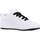 Παπούτσια Αγόρι Χαμηλά Sneakers DC Shoes COURT GRAFFIK Άσπρο