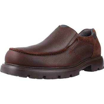 Παπούτσια Άνδρας Derby & Richelieu Pitillos 4930P Brown