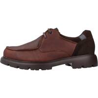 Παπούτσια Άνδρας Boat shoes Pitillos 4932P Brown
