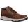 Παπούτσια Άνδρας Μπότες IgI&CO EDWIN GTX Brown