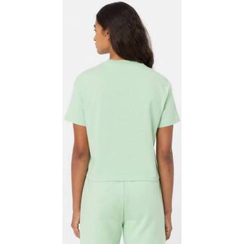 Dickies OAKPORT BOXY TEE SS W Green