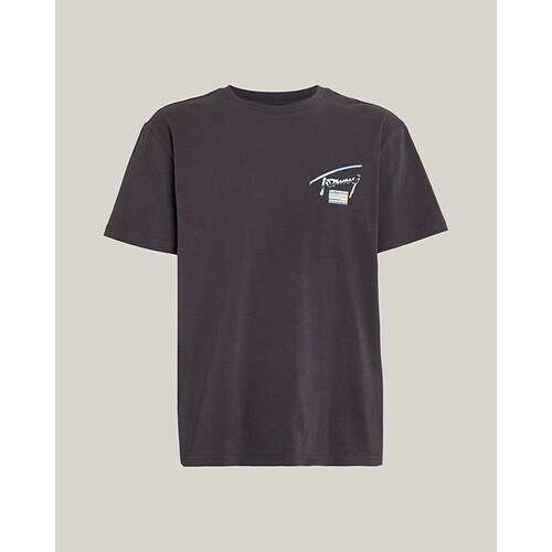 Υφασμάτινα Άνδρας T-shirt με κοντά μανίκια Tommy Hilfiger DM0DM18283 Μπλέ