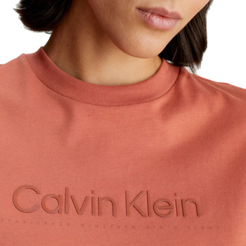 Calvin Klein Jeans SATIN PRINT GRAPHIC T SHIRT WOMEN ΚΑΦΕ