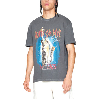 Υφασμάτινα Άνδρας T-shirt με κοντά μανίκια Tommy Hilfiger TOMMY JEANS STATE OF NYC REGULAR FIT T-SHIRT MEN ΓΚΡΙ- ΜΠΟΡΝΤΩ