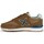 Παπούτσια Άνδρας Χαμηλά Sneakers Munich 4150217 DASH PREMIUM Brown