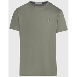 Υφασμάτινα Άνδρας T-shirt με κοντά μανίκια Calvin Klein Jeans J30J325268 Green