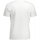 Υφασμάτινα Άνδρας T-shirt με κοντά μανίκια Timberland TB0A2C6S Άσπρο