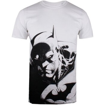 Υφασμάτινα Άνδρας T-shirt με κοντά μανίκια Dc Comics GBMTS393 Άσπρο