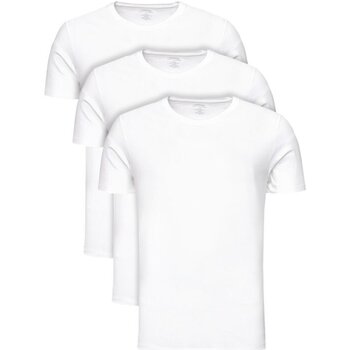 Υφασμάτινα Άνδρας T-shirt με κοντά μανίκια Calvin Klein Jeans 000NB4011E Άσπρο