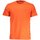 Υφασμάτινα Άνδρας T-shirt με κοντά μανίκια Napapijri NP0A4H8D-SALIS-SS-SUM Orange