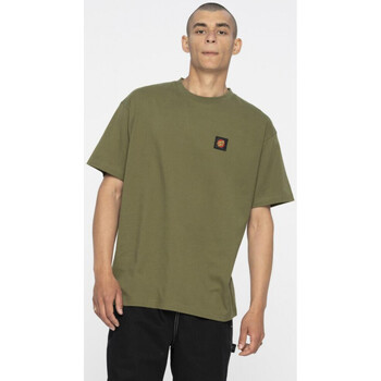 Υφασμάτινα Άνδρας T-shirts & Μπλούζες Santa Cruz Classic label t-shirt Green