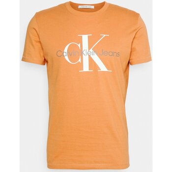 Υφασμάτινα Άνδρας T-shirt με κοντά μανίκια Calvin Klein Jeans J30J320806 Orange