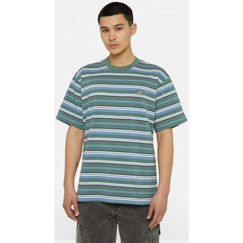 Dickies Glade spring tee ss Multicolour