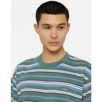 Dickies Glade spring tee ss Multicolour