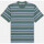 Υφασμάτινα Άνδρας T-shirts & Μπλούζες Dickies Glade spring tee ss Multicolour