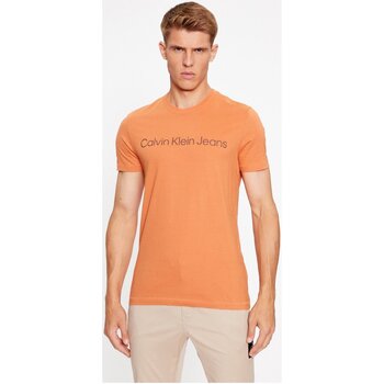 Υφασμάτινα Άνδρας T-shirt με κοντά μανίκια Calvin Klein Jeans J30J322344 Orange