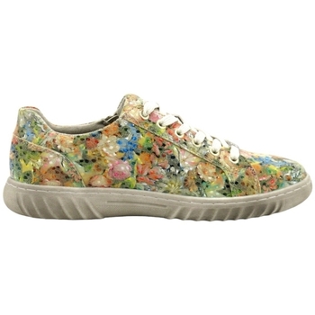 Παπούτσια Γυναίκα Sneakers Westland 74R0302009 Multicolour