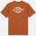 Υφασμάτινα Άνδρας T-shirts & Μπλούζες Dickies Ss ruston tee Brown