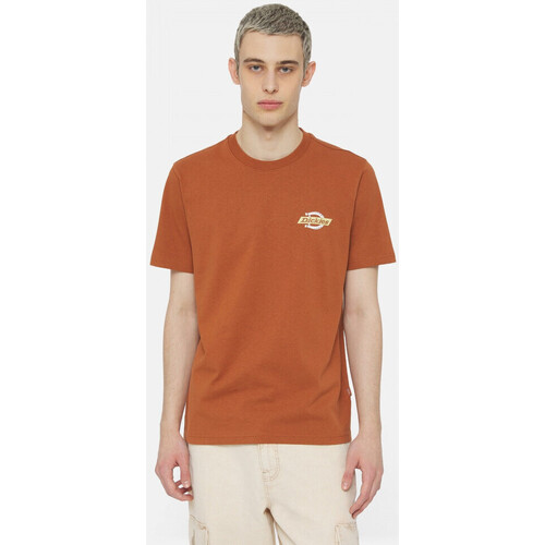 Υφασμάτινα Άνδρας T-shirts & Μπλούζες Dickies Ss ruston tee Brown