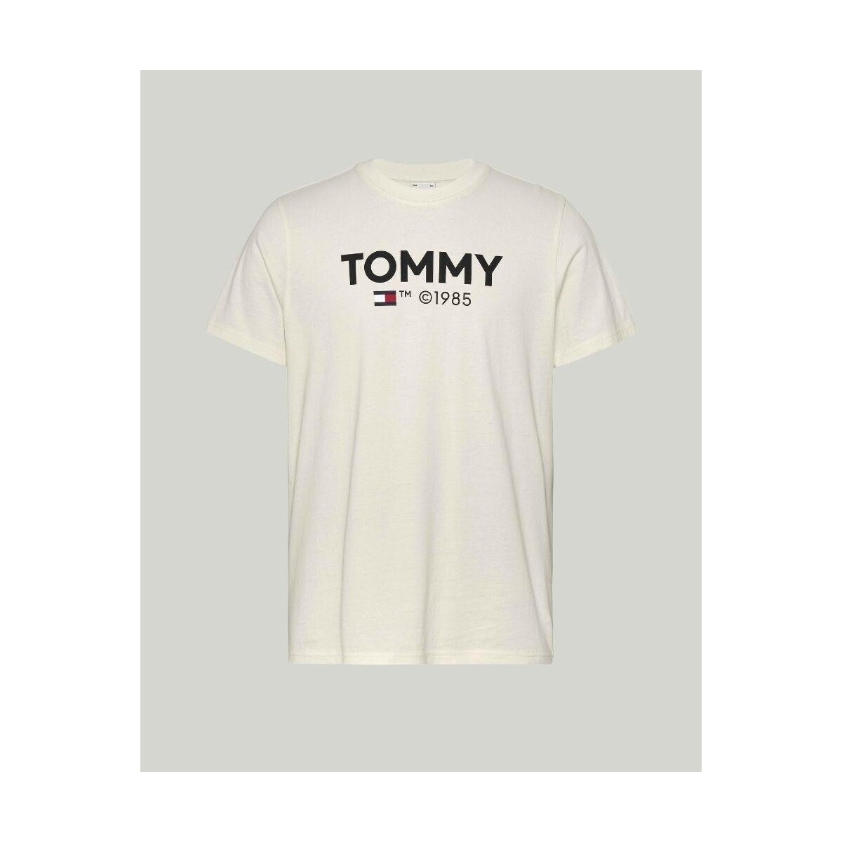 Υφασμάτινα Άνδρας T-shirt με κοντά μανίκια Tommy Hilfiger DM0DM18264YBH Άσπρο