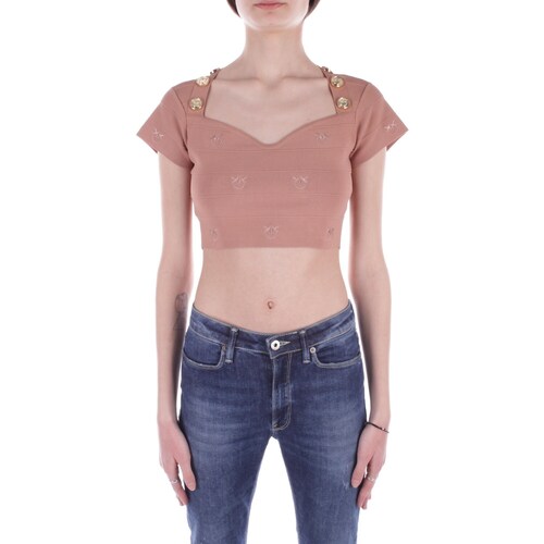Υφασμάτινα Γυναίκα T-shirt με κοντά μανίκια Pinko 102882 A1LK Brown