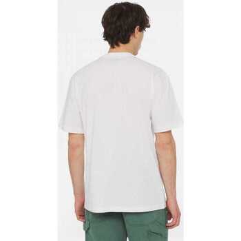 Dickies Aitkin chest tee ss Άσπρο