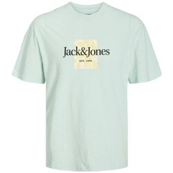 Υφασμάτινα Άνδρας T-shirt με κοντά μανίκια Jack & Jones 12250436 JORLAFAYETTE Green