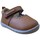Παπούτσια Κορίτσι Μπαλαρίνες Titanitos 27921-18 Brown