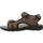 Παπούτσια Άνδρας Σανδάλια / Πέδιλα Geox U SPHERICA EC5 Brown