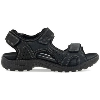 Παπούτσια Άνδρας Σανδάλια / Πέδιλα Ecco 690024 Black