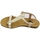 Παπούτσια Γυναίκα Σανδάλια / Πέδιλα Plakton MAM ZOUK Gold