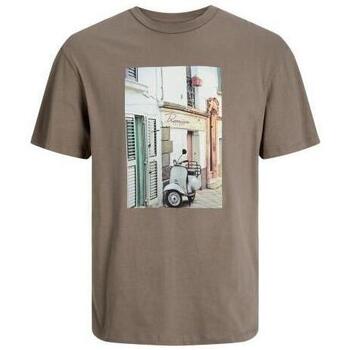 Υφασμάτινα Άνδρας T-shirt με κοντά μανίκια Jack & Jones  Brown