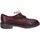 Παπούτσια Άνδρας Derby & Richelieu Moma EY521 65303A Brown