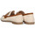 Παπούτσια Γυναίκα Boat shoes Buonarotti 74550 Brown