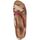 Παπούτσια Γυναίκα Σανδάλια / Πέδιλα Pikolinos W8k-0741 Brown