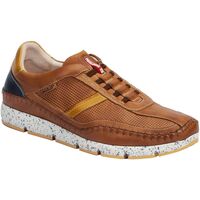 Παπούτσια Άνδρας Χαμηλά Sneakers Pikolinos M4u-6046c1 Brown