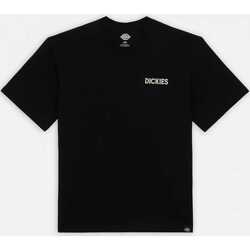 Υφασμάτινα Άνδρας T-shirts & Μπλούζες Dickies Beach tee ss Black