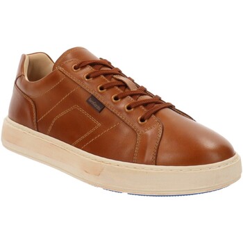 Παπούτσια Άνδρας Sneakers NeroGiardini E400222U Brown