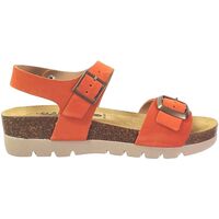 Παπούτσια Γυναίκα Σανδάλια / Πέδιλα Plakton Cool Orange