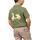 Υφασμάτινα Αγόρι T-shirt με κοντά μανίκια Scotta  Green