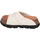 Παπούτσια Γυναίκα Παντόφλες UGG Sunskip Slide Άσπρο