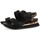 Παπούτσια Γυναίκα Σανδάλια / Πέδιλα Gioseppo 71082 AUSTELL Black
