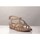 Παπούτσια Γυναίκα Σανδάλια / Πέδιλα ALMA EN PENA V242086 Beige