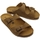 Παπούτσια Γυναίκα Σανδάλια / Πέδιλα Plakton Pulton Sandals - Tan Brown